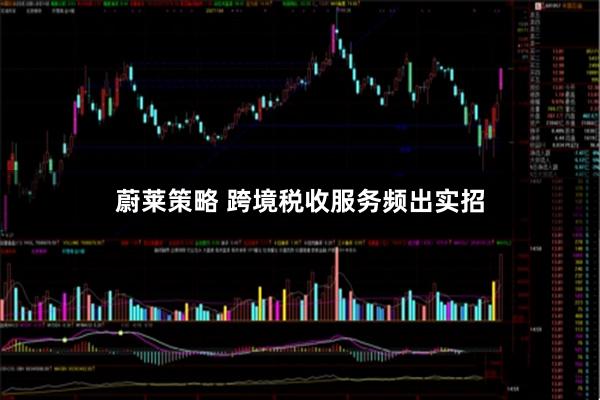 蔚莱策略 跨境税收服务频出实招