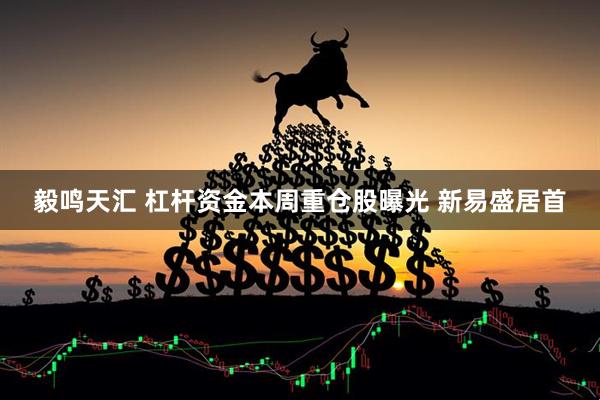 毅鸣天汇 杠杆资金本周重仓股曝光 新易盛居首