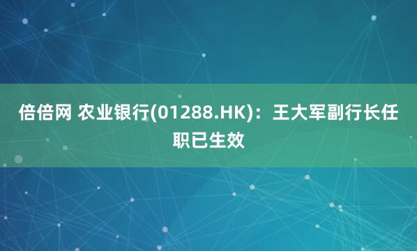 倍倍网 农业银行(01288.HK)：王大军副行长任职已生效