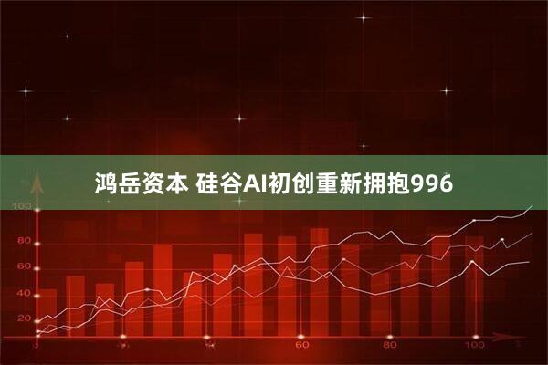 鸿岳资本 硅谷AI初创重新拥抱996