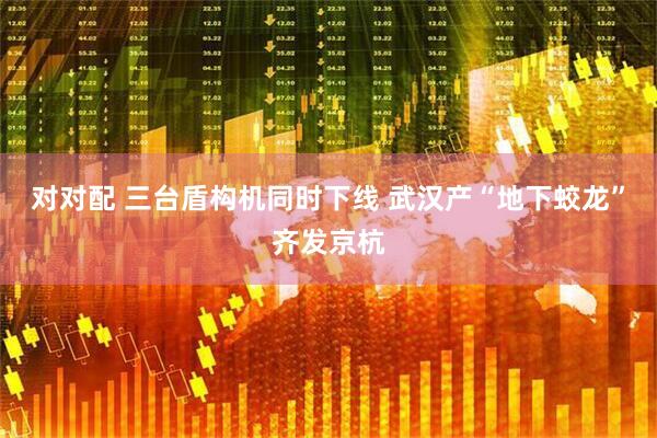 对对配 三台盾构机同时下线 武汉产“地下蛟龙”齐发京杭