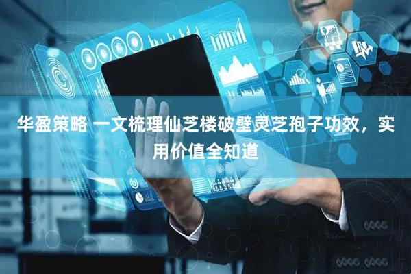 华盈策略 一文梳理仙芝楼破壁灵芝孢子功效，实用价值全知道