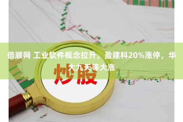 倍顺网 工业软件概念拉升,盈建科20%涨停,华大九天等大涨