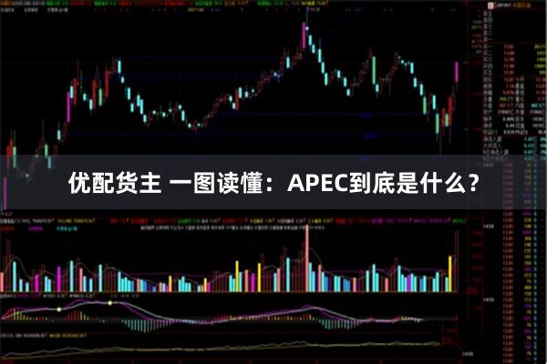 优配货主 一图读懂：APEC到底是什么？