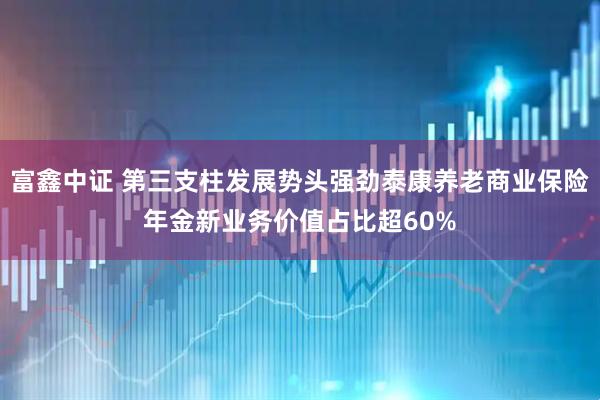 富鑫中证 第三支柱发展势头强劲泰康养老商业保险年金新业务价值占比超60%