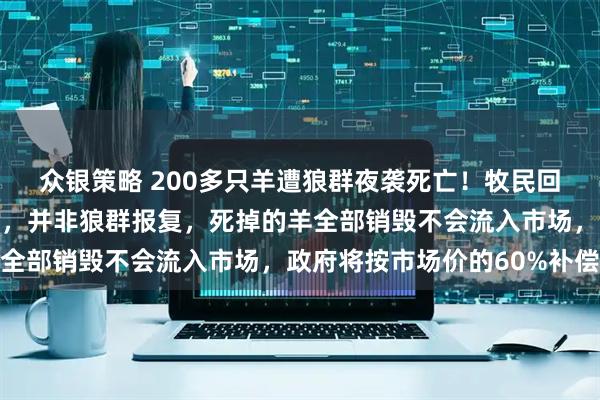 众银策略 200多只羊遭狼群夜袭死亡！牧民回应：大部分因踩踏而死，并非狼群报复，死掉的羊全部销毁不会流入市场，政府将按市场价的60%补偿